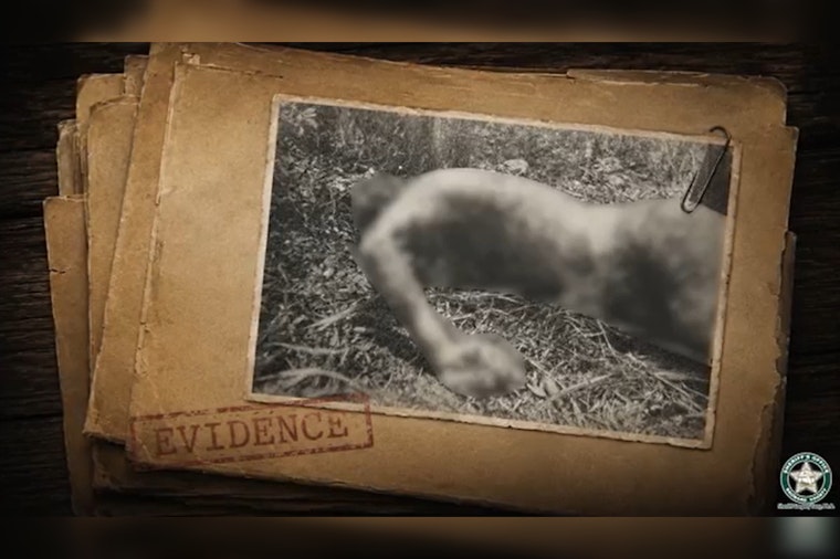 Lauderhill Mystery Body Finally Gets a Name After 51 Years