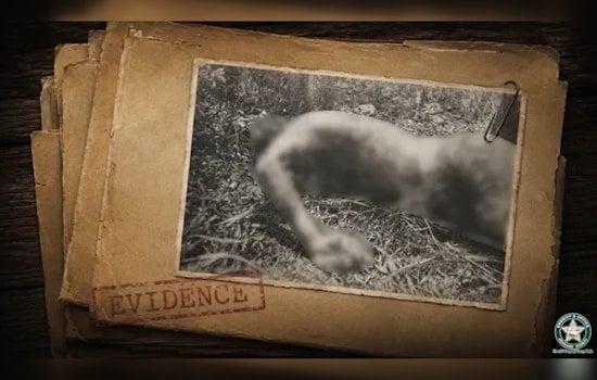 Lauderhill Mystery Body Finally Gets a Name After 51 Years