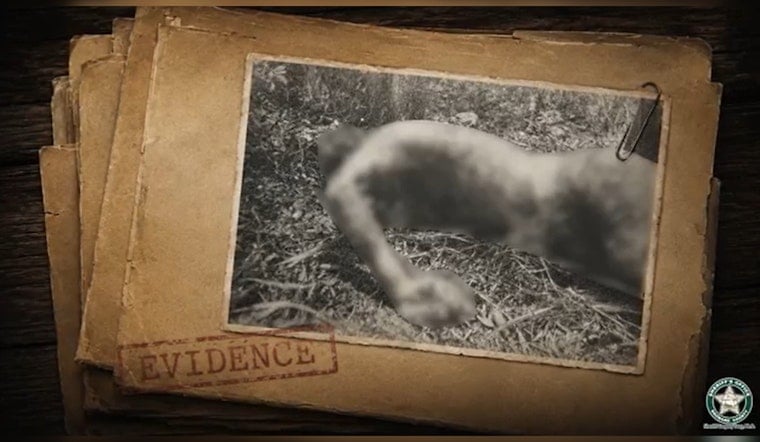 Lauderhill Mystery Body Finally Gets a Name After 51 Years