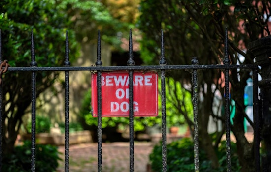 Ring Cam Catches Leashed Dog Mauling Mini Pup Under Leon Valley Gate
