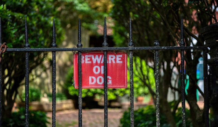 Ring Cam Catches Leashed Dog Mauling Mini Pup Under Leon Valley Gate