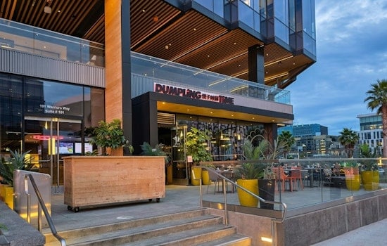 Live Mice & Gnawed Food Bags Shutters Dumpling Time the Same Day Omakase Group Celebrated Giant Food Hall Opening