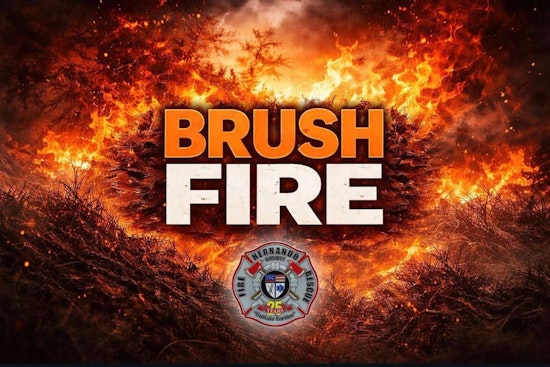 Lomita Wren Brush Blaze Chokes Traffic In Weeki Wachee