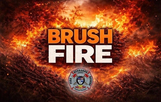 Lomita Wren Brush Blaze Chokes Traffic In Weeki Wachee