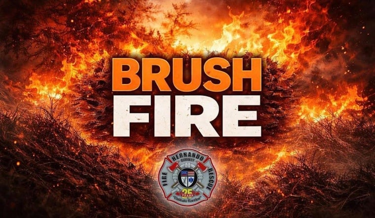 Lomita Wren Brush Blaze Chokes Traffic In Weeki Wachee