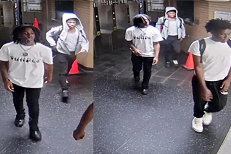 Loop Blue Line Beatdown: Cops Hunt Trio In Late-Night Platform Attack