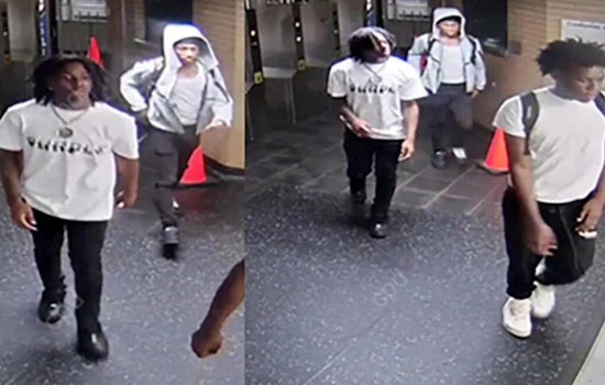 Loop Blue Line Beatdown: Cops Hunt Trio In Late-Night Platform Attack