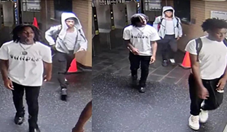 Loop Blue Line Beatdown: Cops Hunt Trio In Late-Night Platform Attack