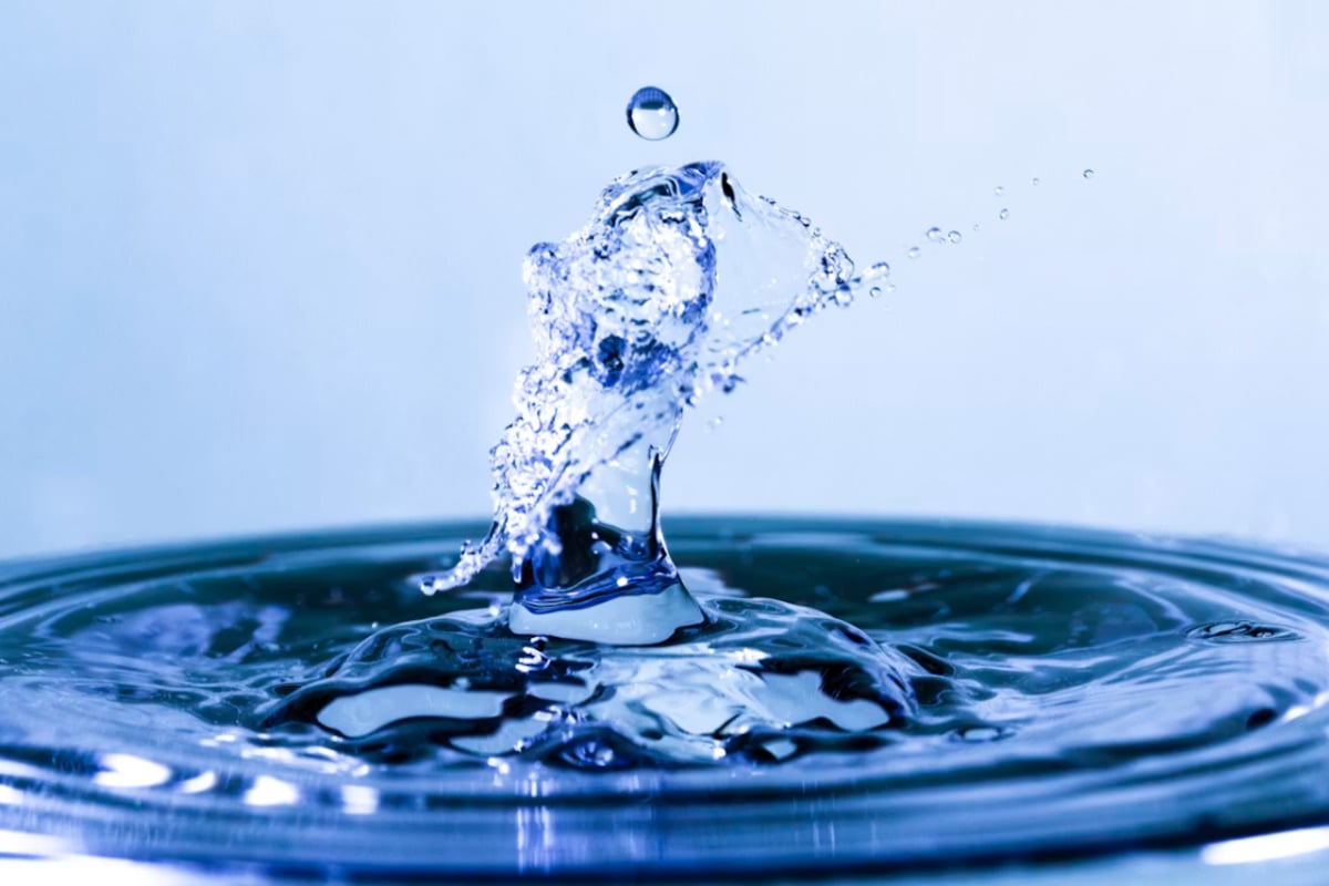 Magnolia Water Snags Rate Win As Regulators Demand Full Audit