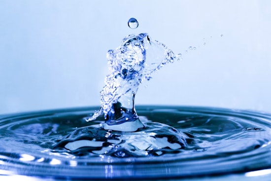 Magnolia Water Snags Rate Win As Regulators Demand Full Audit