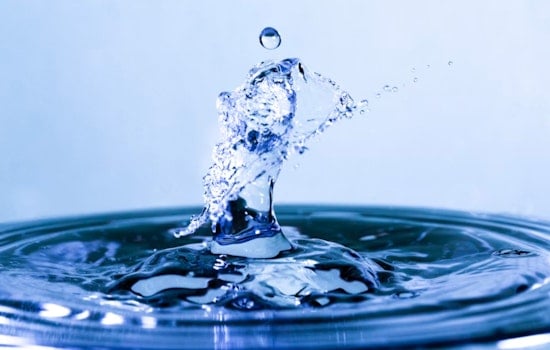 Magnolia Water Snags Rate Win As Regulators Demand Full Audit
