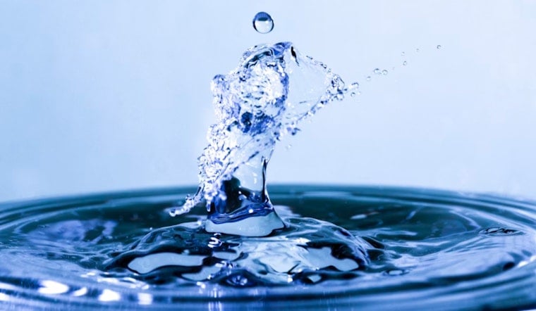 Magnolia Water Snags Rate Win As Regulators Demand Full Audit
