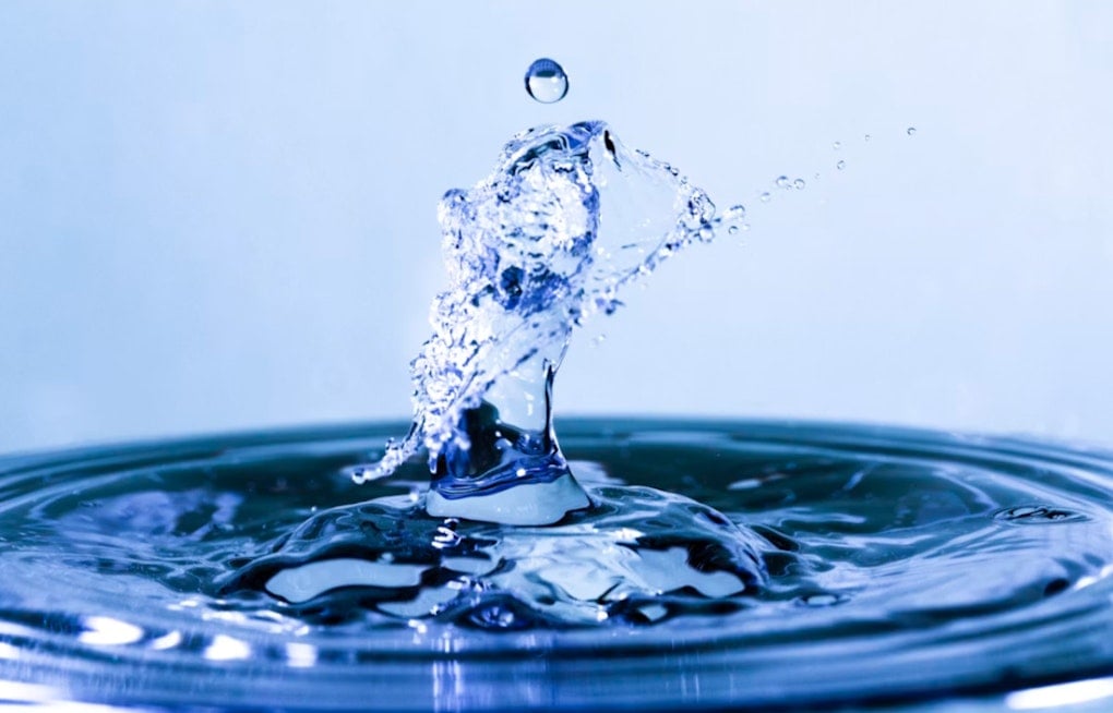 Magnolia Water Snags Rate Win As Regulators Demand Full Audit