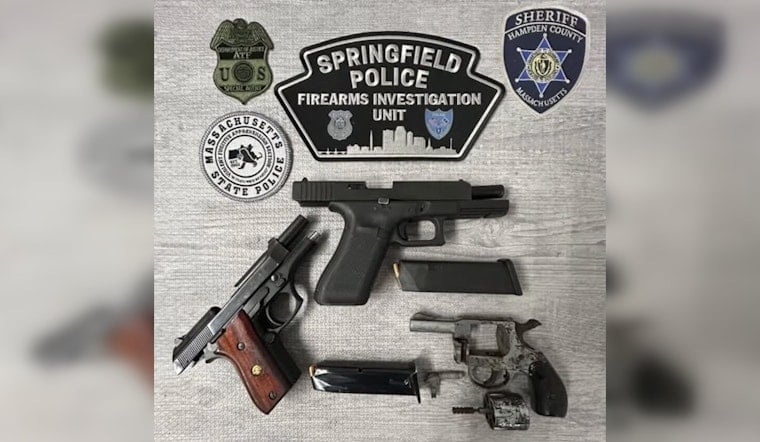 Lynchburg Man Arrested After Guns Found At Union Station