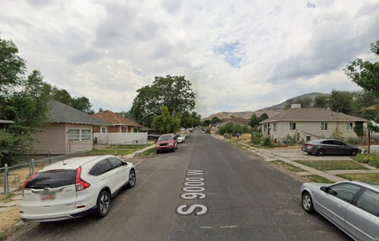 Magna Backyard Turns Into Hit-And-Run Speedway As Family Heads Out Of Town