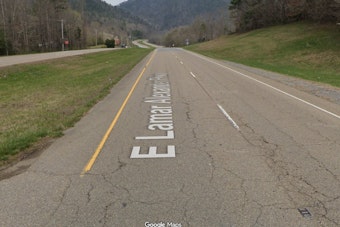 Maryland Biker Hurt After Slamming Into Bear on Blount County Parkway