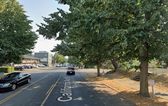 Masked Teens In Tesla Terrorize Morgan Junction Pedestrian