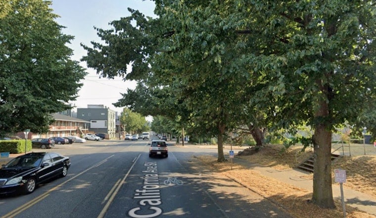 Masked Teens In Tesla Terrorize Morgan Junction Pedestrian