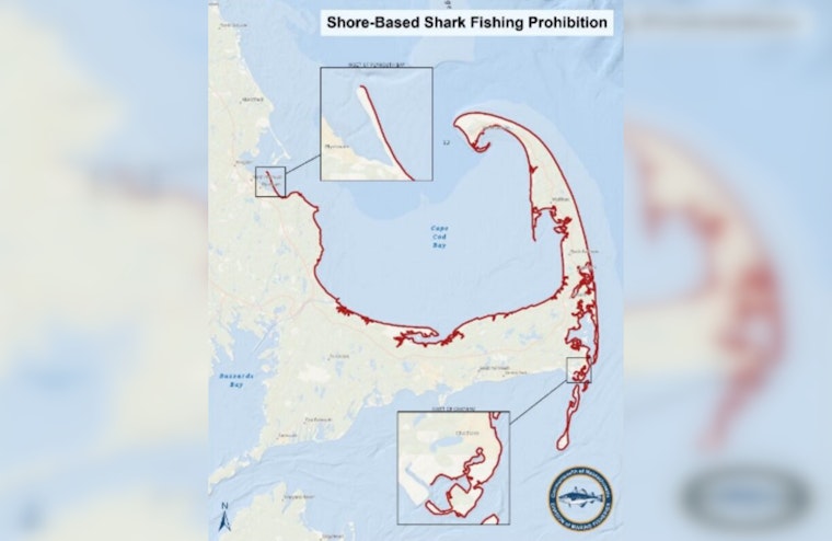 Mass. Bans Heavy Shark Gear From Cape Cod Bay Beaches