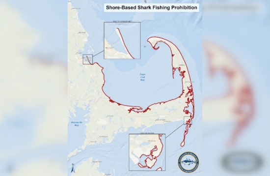 Mass. Bans Heavy Shark Gear From Cape Cod Bay Beaches