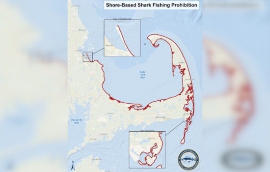 Mass. Bans Heavy Shark Gear From Cape Cod Bay Beaches