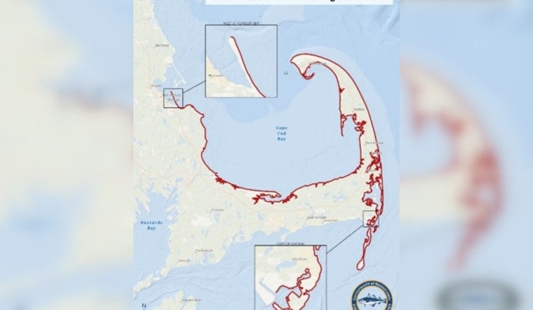 Mass. Bans Heavy Shark Gear From Cape Cod Bay Beaches