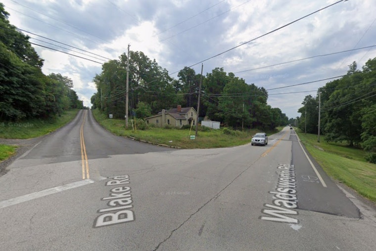 Medina Township Horror As Six Kittens Survive Toss From Pickup Truck