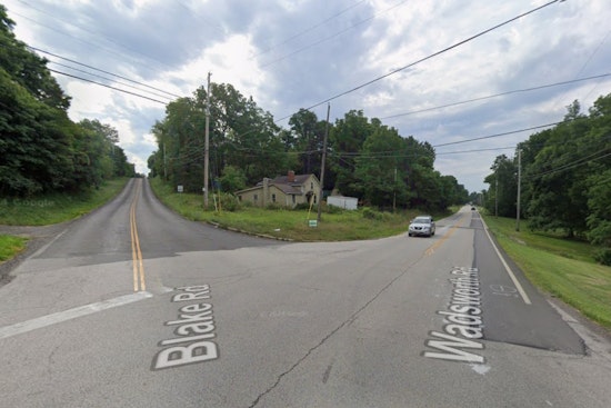 Medina Township Horror As Six Kittens Survive Toss From Pickup Truck