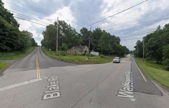 Medina Township Horror As Six Kittens Survive Toss From Pickup Truck