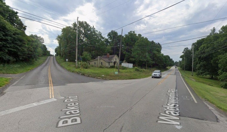 Medina Township Horror As Six Kittens Survive Toss From Pickup Truck