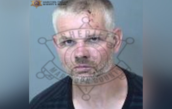 Mesa Cops Chase Down Alleged Cat Burglar With 14 Hot Converters