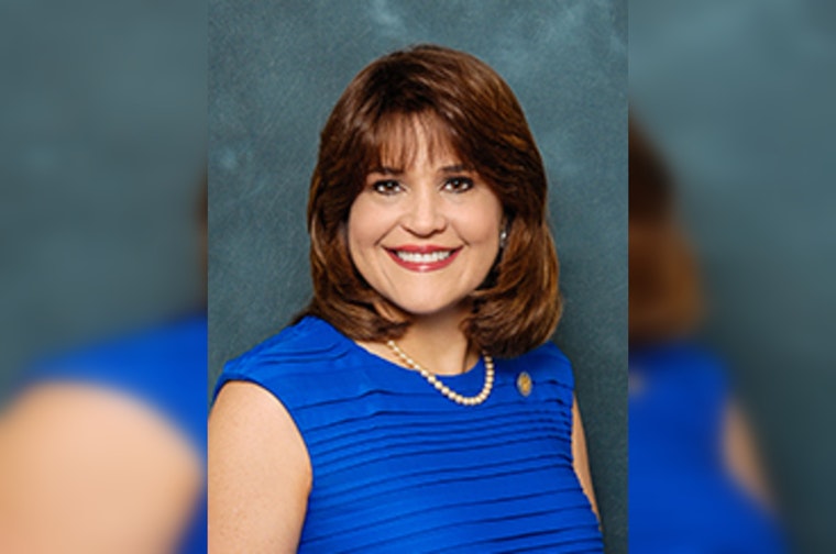 Miami Dem Firebrand Annette Taddeo Jumps Into Florida CFO Brawl