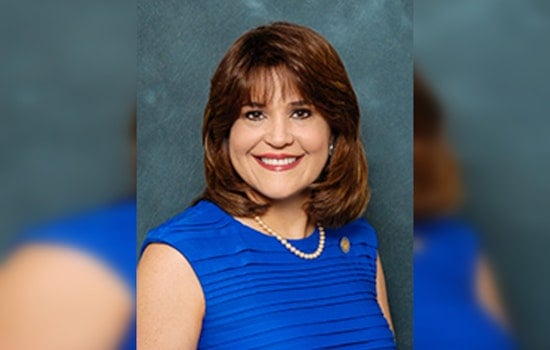 Miami Dem Firebrand Annette Taddeo Jumps Into Florida CFO Brawl