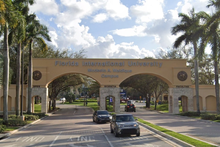 Miami's New Storm Shield: Front-Yard Trees Take On Hurricanes