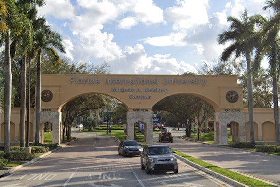 Miami's New Storm Shield: Front-Yard Trees Take On Hurricanes