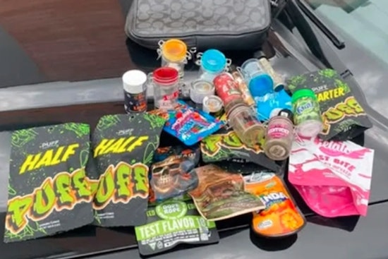 Michigan Visitor Busted At Clayton County Hotel In Alleged World Cup Drug Run