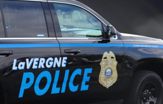 Midday Shooting Report Brings Heavy Police Presence To Waldron Road In La Vergne