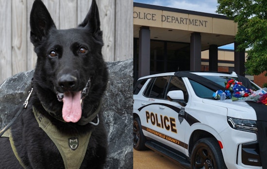 Midlothian Standoff Turns Deadly as Chesterfield K9 Knight Falls in Gun Battle