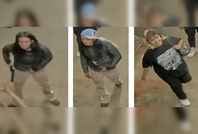 Midnight Beatdown on West Loop CTA Platform Has Cops Hunting Duo
