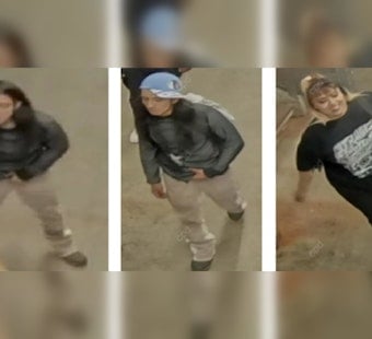 Midnight Beatdown on West Loop CTA Platform Has Cops Hunting Duo