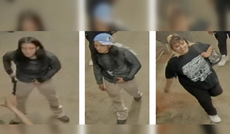 Midnight Beatdown on West Loop CTA Platform Has Cops Hunting Duo