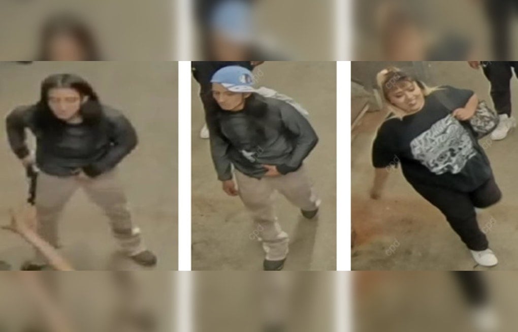 Midnight Beatdown on West Loop CTA Platform Has Cops Hunting Duo