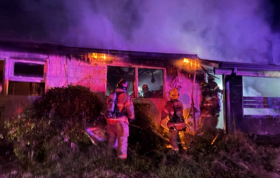 Mill Park Blaze Guts Home, Kills Three Dogs As One Survives In Portland