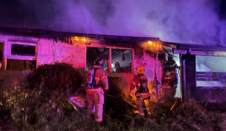 Mill Park Blaze Guts Home, Kills Three Dogs As One Survives In Portland