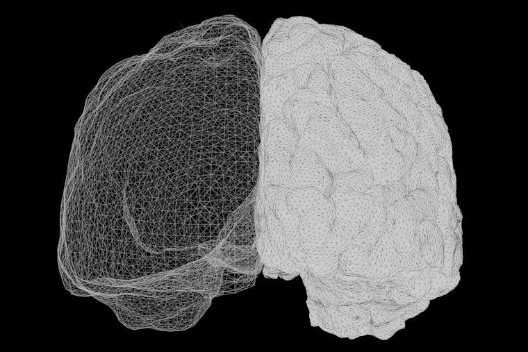 Minnesota Lab Rats Reveal One Brain Electrode Can Do the Job of Two