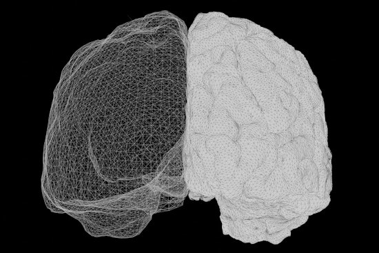 Minnesota Lab Rats Reveal One Brain Electrode Can Do the Job of Two