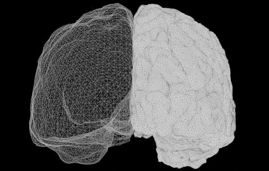 Minnesota Lab Rats Reveal One Brain Electrode Can Do the Job of Two