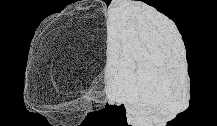 Minnesota Lab Rats Reveal One Brain Electrode Can Do the Job of Two