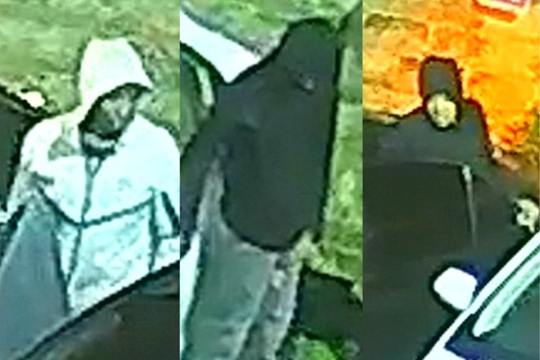 Mitchell Avenue Car Crooks Rip Through Parked Rides As Cops Plead For Tips