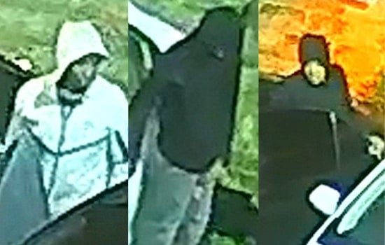 Mitchell Avenue Car Crooks Rip Through Parked Rides As Cops Plead For Tips